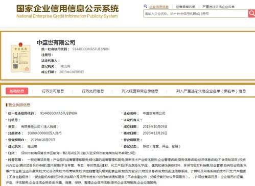 商務信息咨詢 洞悉市場先機，賦能企業(yè)決策